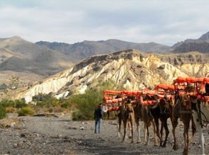 Paseo en camello en Almería