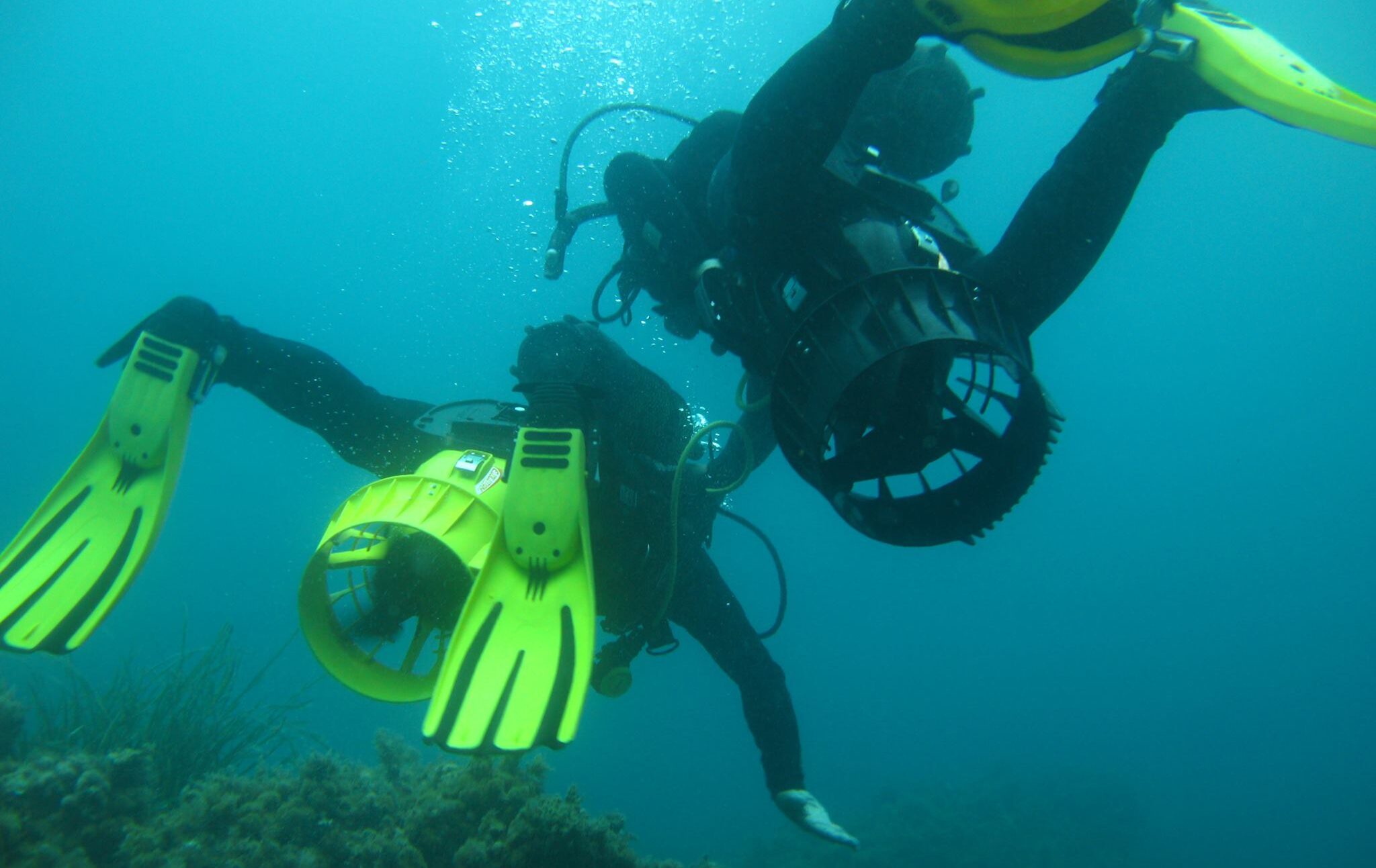 buceo-las-negras-fondo-de-mar