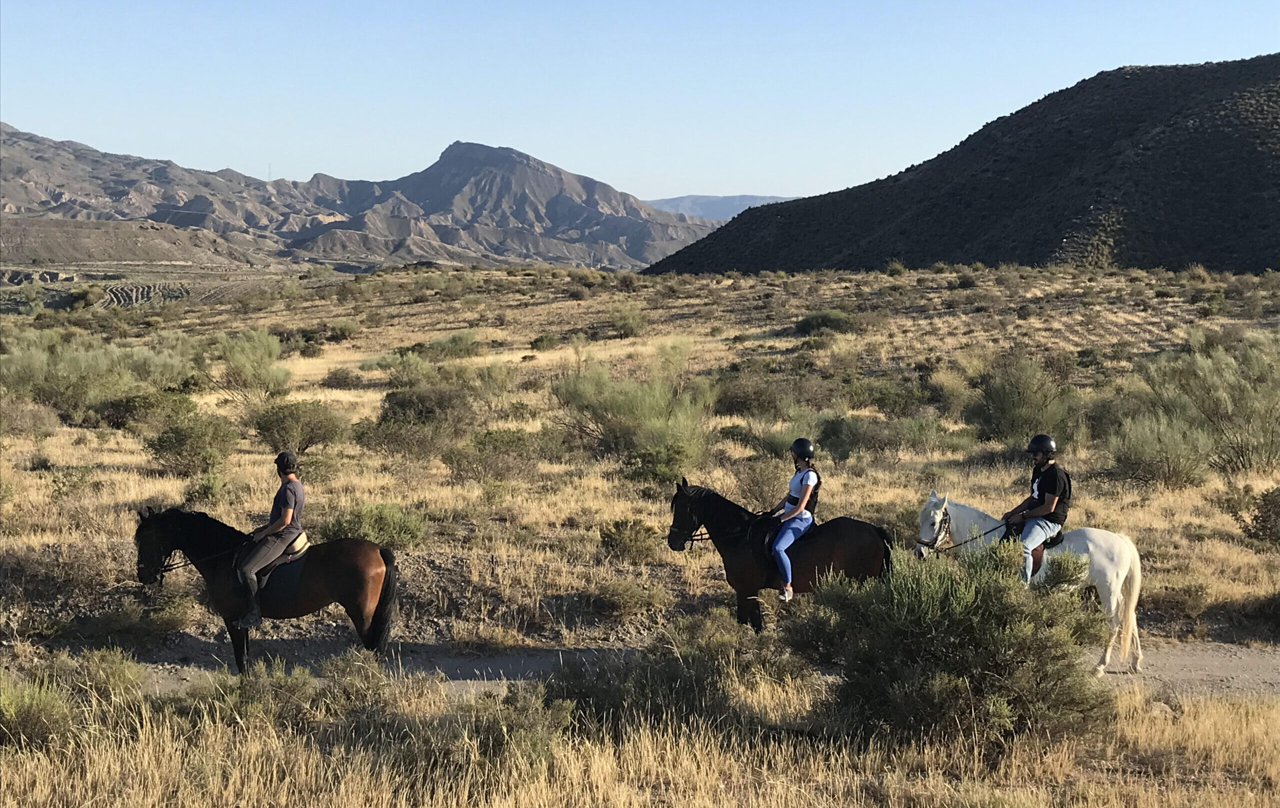 caballo-ruta-tabernas-almeria