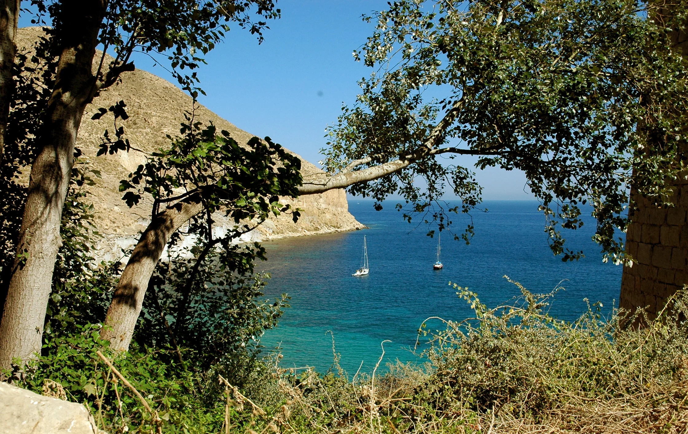 cala-san-pedro-1-almeria-fiesta