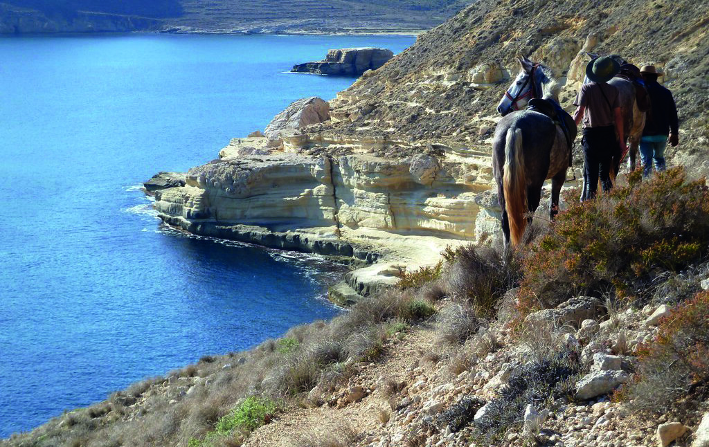 ruta-a-caballo-san-jose-excursion