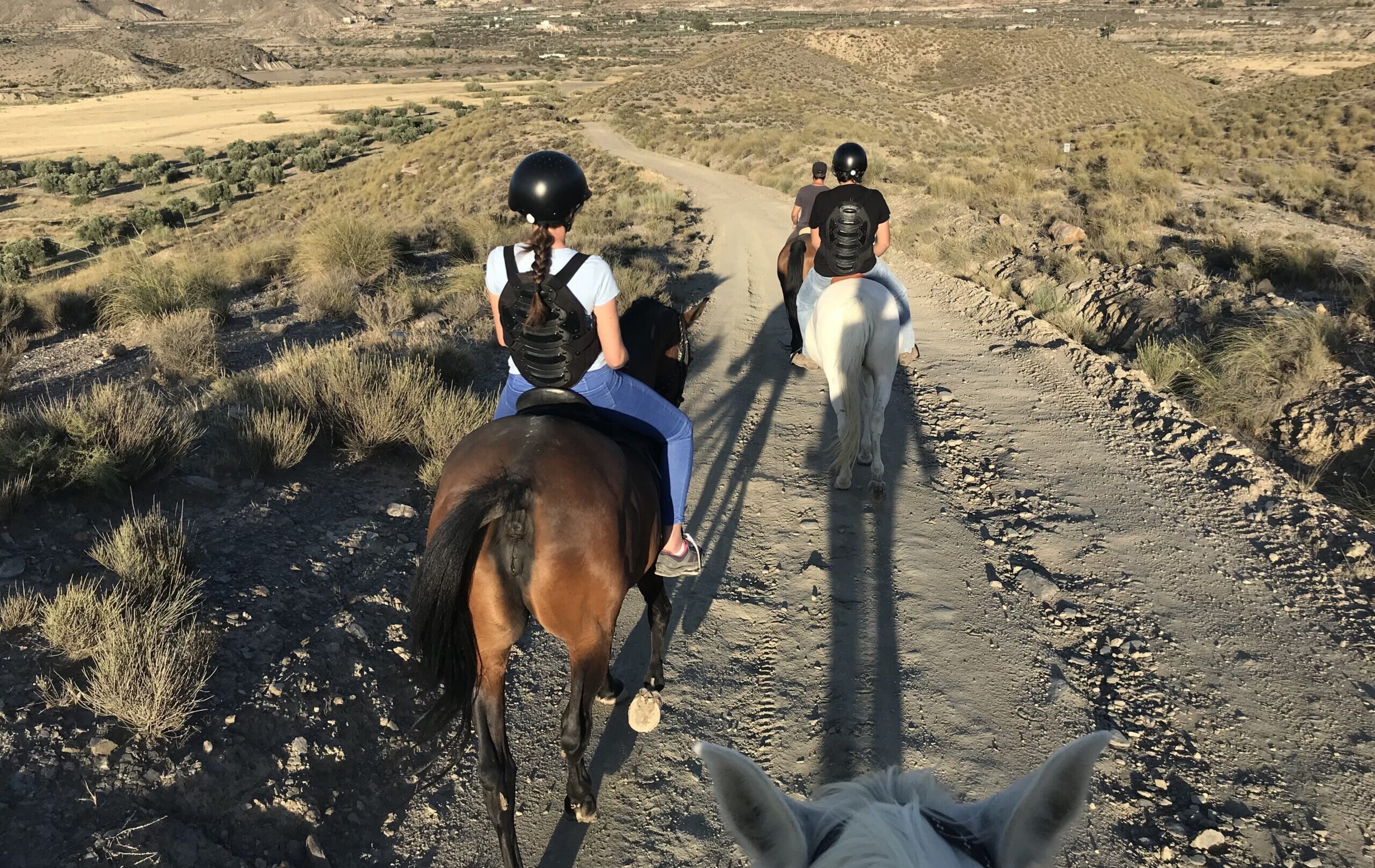 ruta-a-caballo-tabernas-diversion