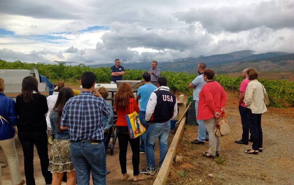 vinos-catas-cortijos-del-cura-de-andarax