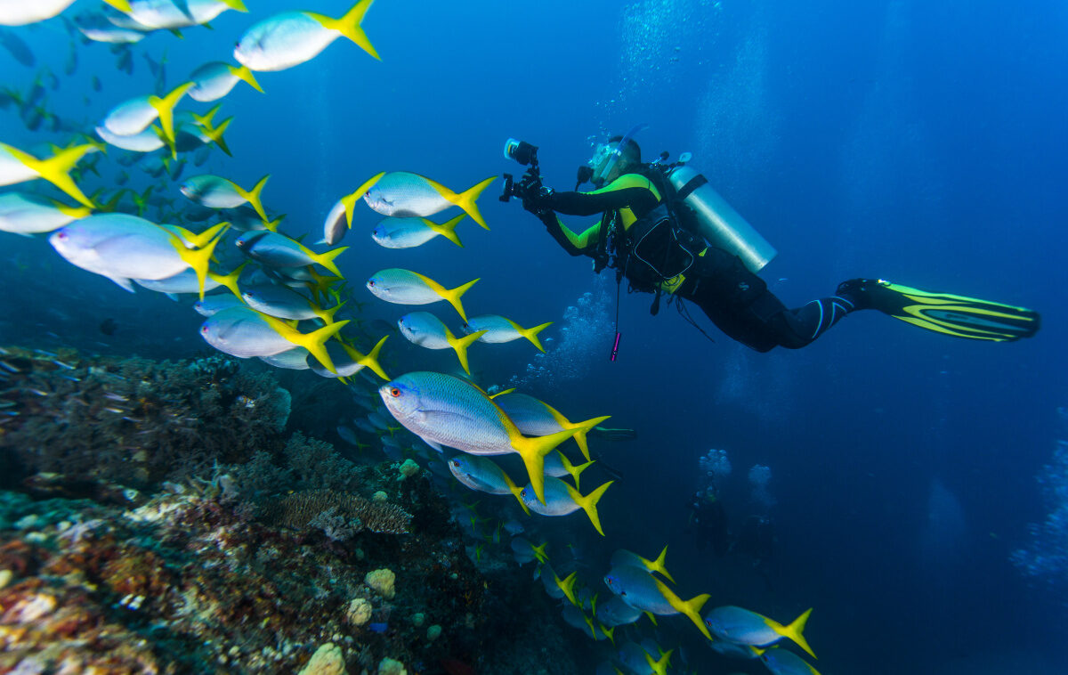 CURSO-BUCEO-3-ALMERIA-FIESTA