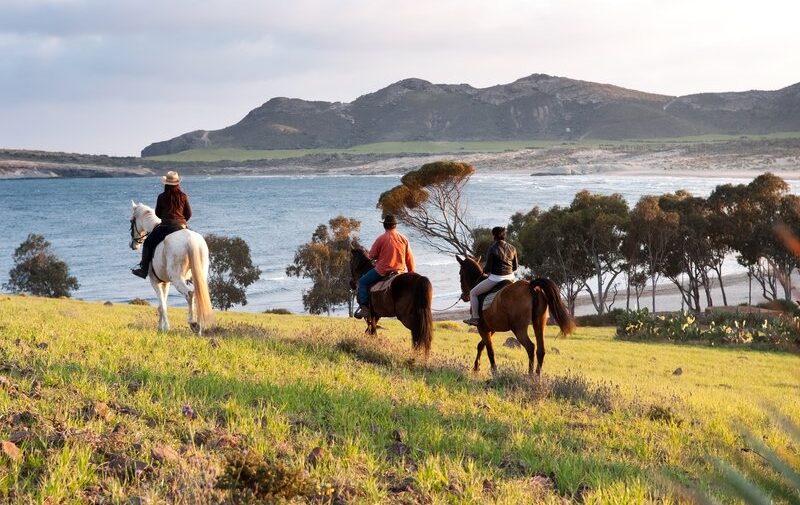 ruta-caballo-1-almeria-fiesta