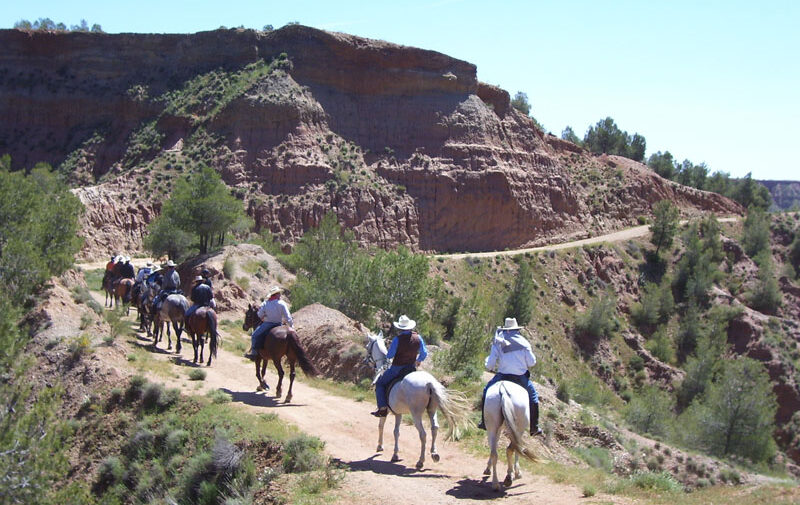 ruta-caballo-2-almeria-fiesta